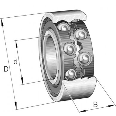 Guolis radialinis 1